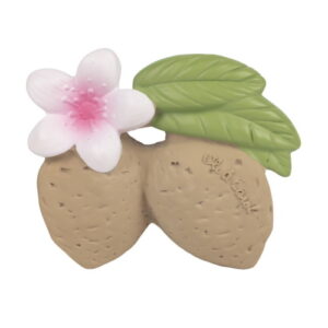 Oli & Carol - Aly the Almond