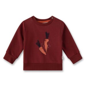 Sanetta Pure Sweatshirt Rüebli