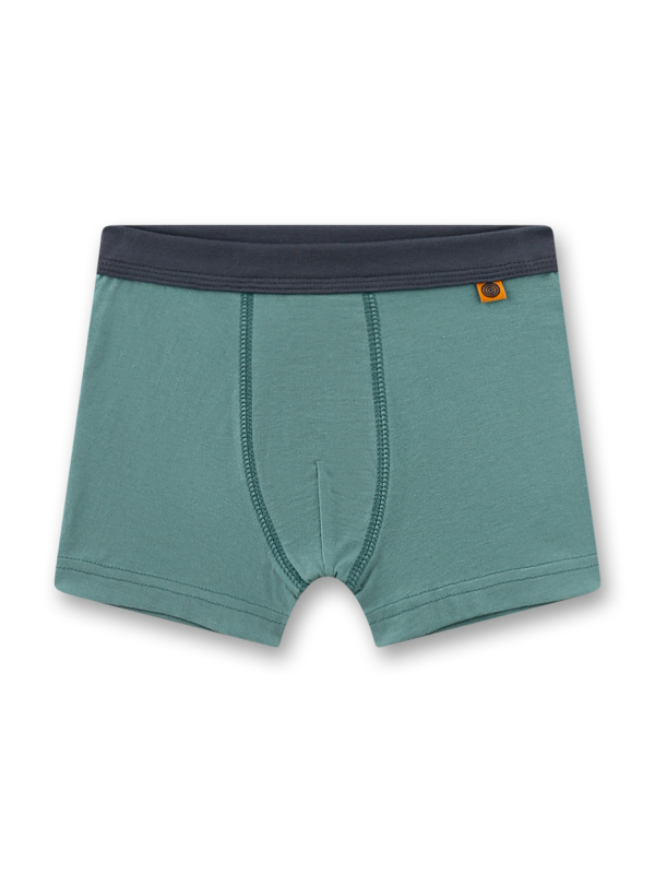 Sanetta Hipshorts (Doppelpack) grün & beige Tiger – Bild 3