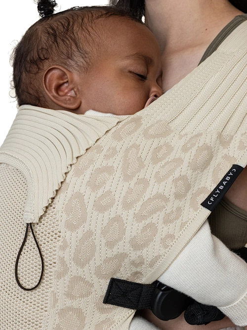 Flybaby Leo – Bild 2