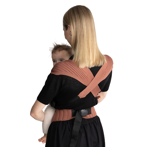Flybaby Terra – Bild 2