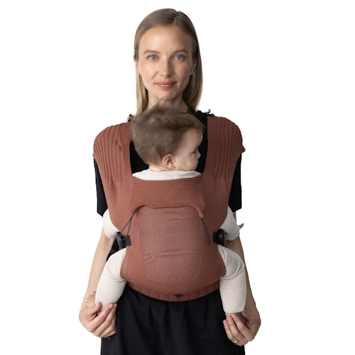 Flybaby Terra